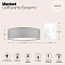 Светильник Maytoni MOD613CL-04GR