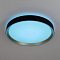 Светильник Citilux CL751351G