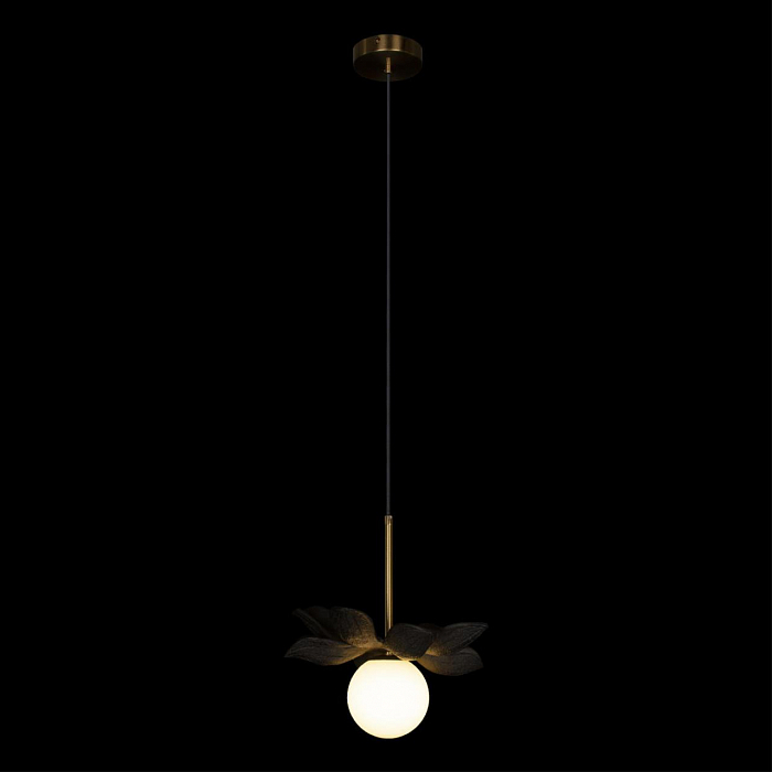 Светильник LOFT IT 10213/B Black