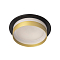 Светильник Citilux CL002D14