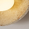 F-Promo 4753-1W
